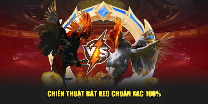 Chiến thuật bắt kèo chuẩn xác 100%