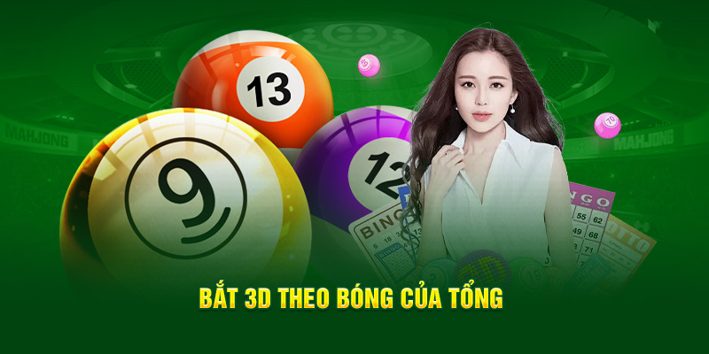 Bắt 3D theo bóng của tổng