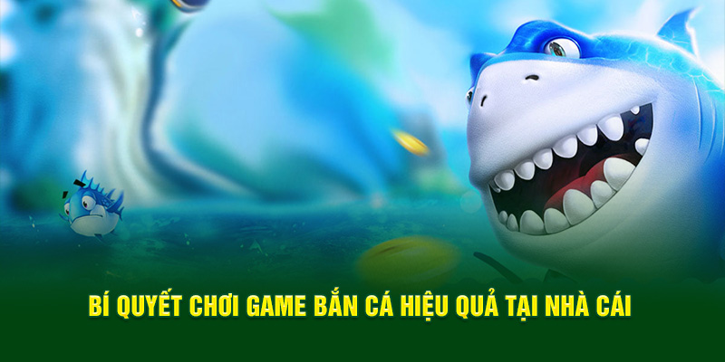 Bí quyết chơi game bắn cá hiệu quả tại nhà cái