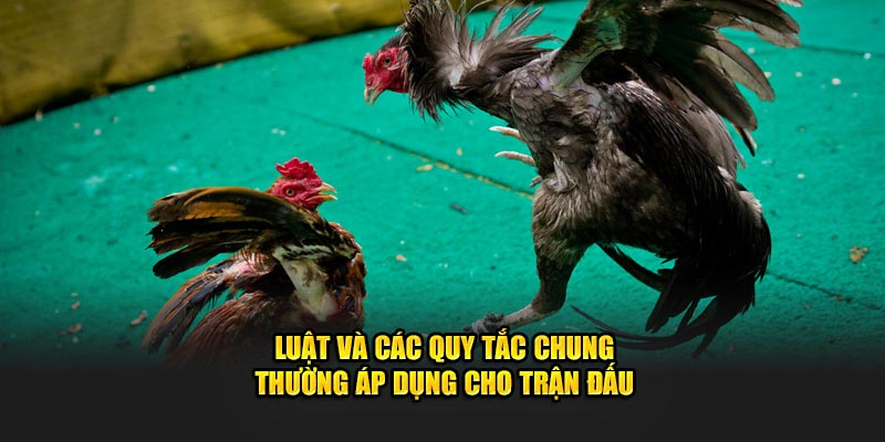 Các quy tắc chung Good88 thường áp dụng